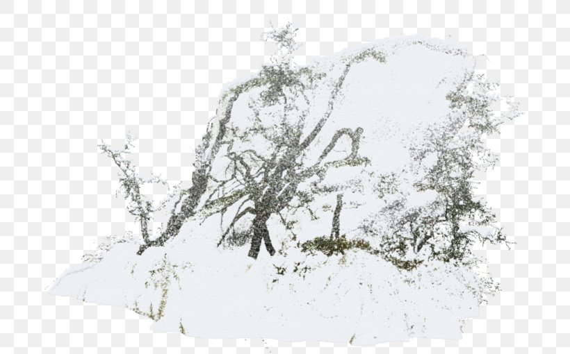 Twig Snow Tree Clip Art, PNG, 700x510px, Twig, Black And White, Blizzard, Branch, Drawing Download Free