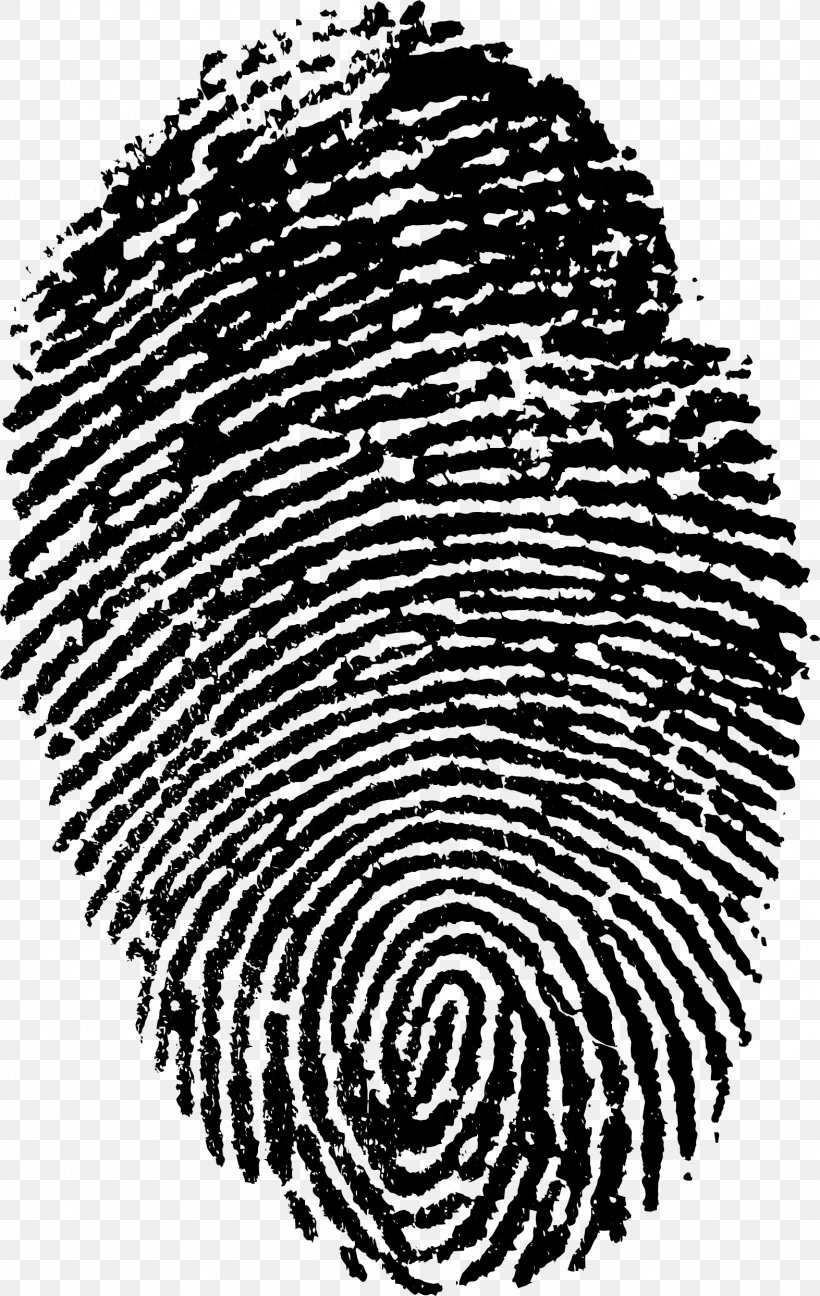 Espionage Photography Fingerprint Counterintelligence Image, PNG, 1573x2488px, 2018, Espionage, Blackandwhite, Camera, Counterintelligence Download Free