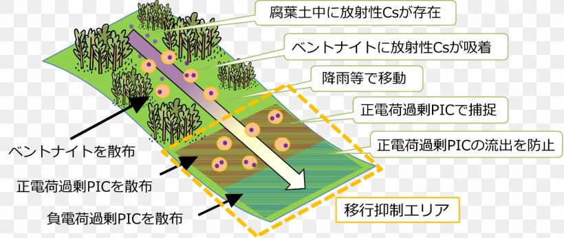 Fukushima Daiichi Nuclear Disaster Ecosystem Research Forestry, PNG, 1273x539px, Fukushima Daiichi Nuclear Disaster, Area, Ecosystem, Forest, Forestry Download Free