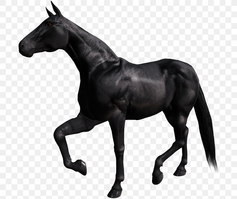 Breyer Animal Creations Appaloosa Stallion Arabian Horse Model Horse, PNG, 697x691px, Breyer Animal Creations, Appaloosa, Arabian Horse, Barrel Racing, Black Download Free