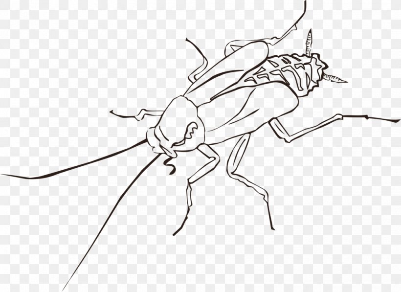 Cockroach Clip Art Insect Openclipart, PNG, 1030x750px, Cockroach, American Cockroach, Art, Arthropod, Blackandwhite Download Free