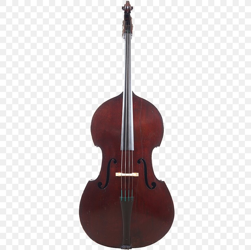 Bass Violin Double Bass Viola Violone Bass Guitar, PNG, 500x816px, Watercolor, Cartoon, Flower, Frame, Heart Download Free