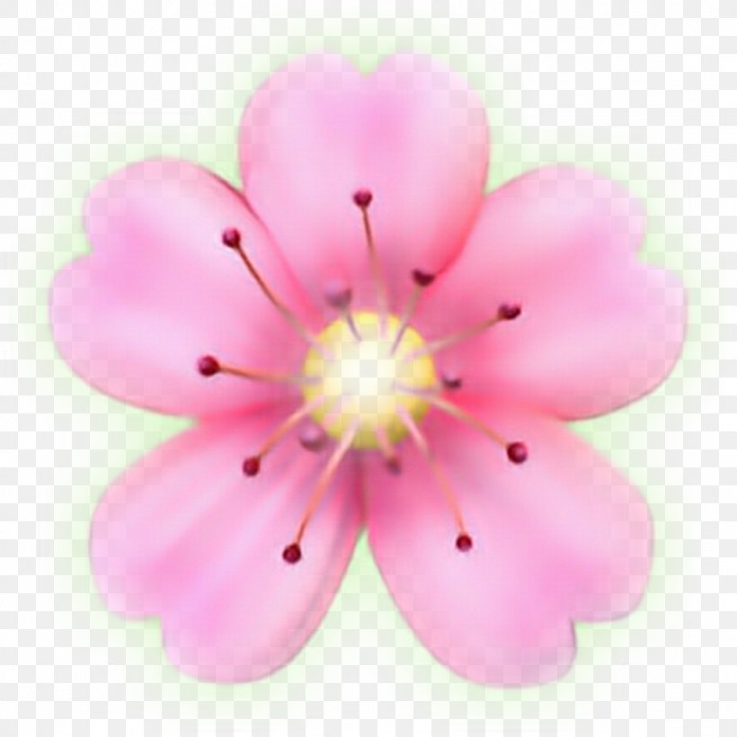 Flower Emoji Sticker Petal PicsArt Photo Studio, PNG, 1024x1024px, Flower, Blossom, Cherry Blossom, Emoji, Emoticon Download Free