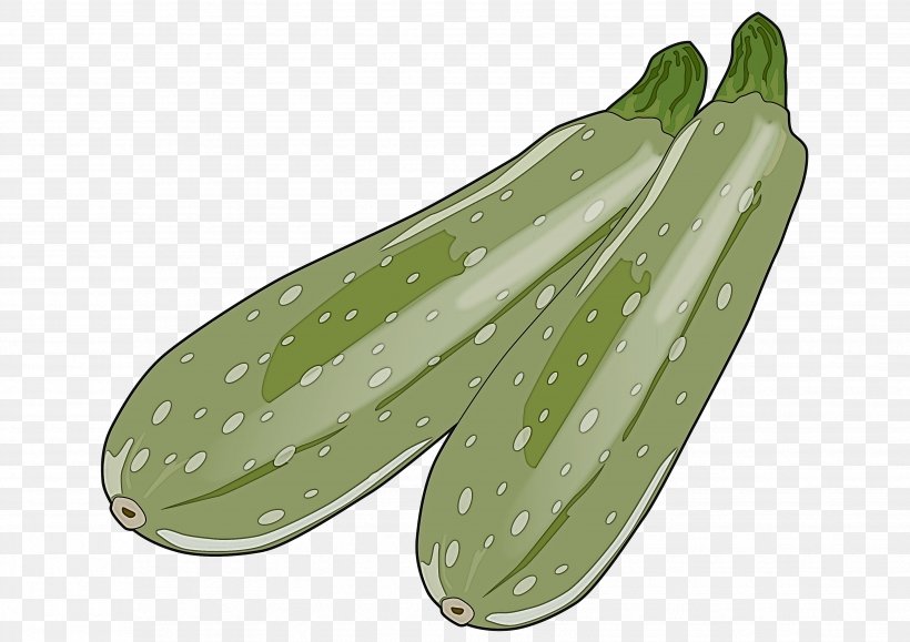 Green Plant Leaf Cucumber Vegetable, PNG, 3508x2480px, Green, Cucumber, Cucumber Gourd And Melon Family, Cucumis, Food Download Free