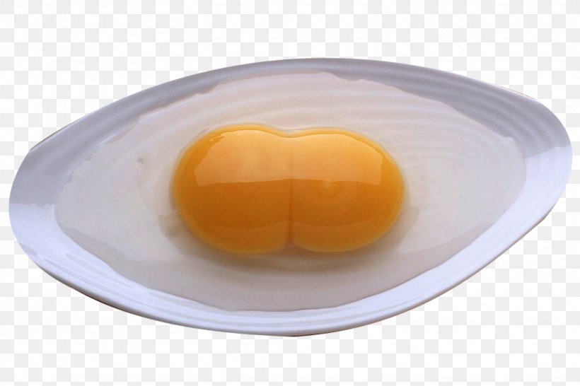 Yolk Orange Egg, PNG, 1024x683px, Yolk, Dish, Egg, Egg Yolk, Orange Download Free