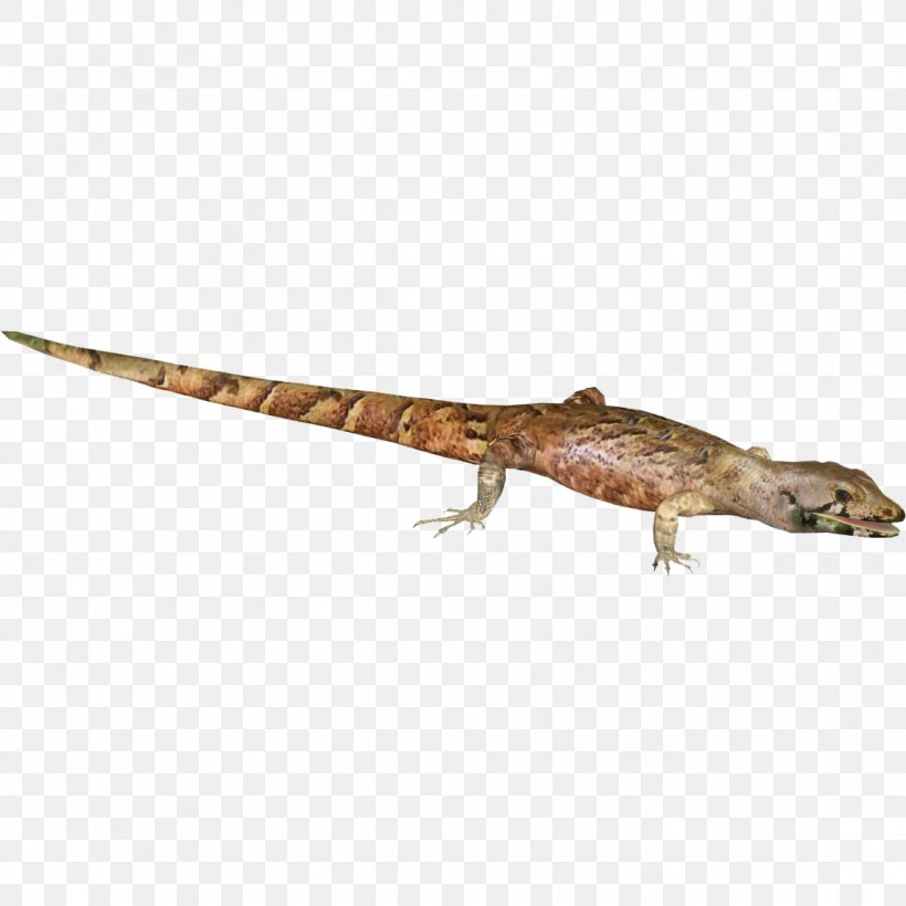 Agama Gecko Terrestrial Animal Tail, PNG, 1145x1145px, Agama, Agamidae, Animal, Fauna, Gecko Download Free