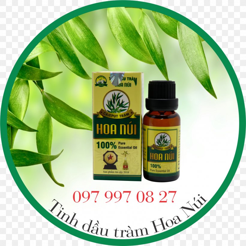 Cajeput Oil Essential Oil Health Morning Day, PNG, 1715x1715px, Cajeput Oil, Ageing, Child, Day, Essential Oil Download Free