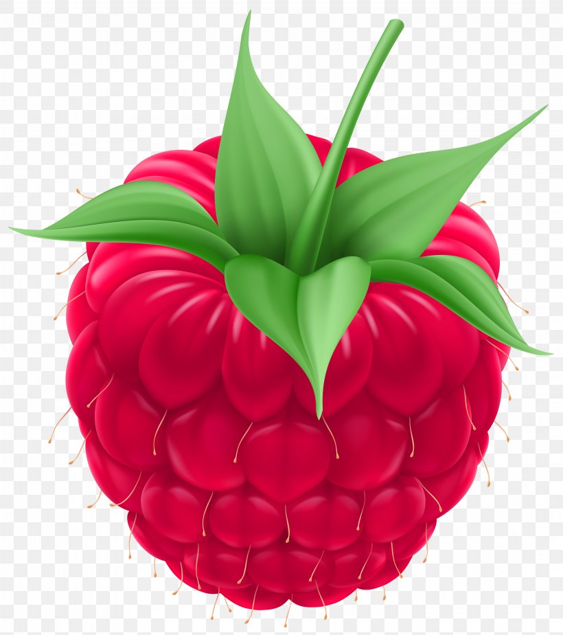 Raspberry Royalty-free Clip Art, PNG, 4436x5000px, Raspberry, Berry, Cartoon, Floral Design, Floristry Download Free