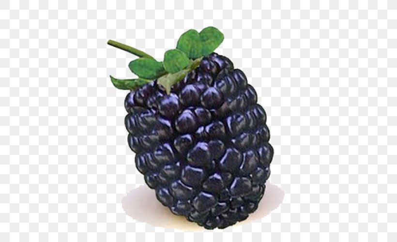 BlackBerry Storm 2 Fruit, PNG, 500x500px, Blackberry, Berry, Blackberry Storm, Blackberry Storm 2, Boysenberry Download Free