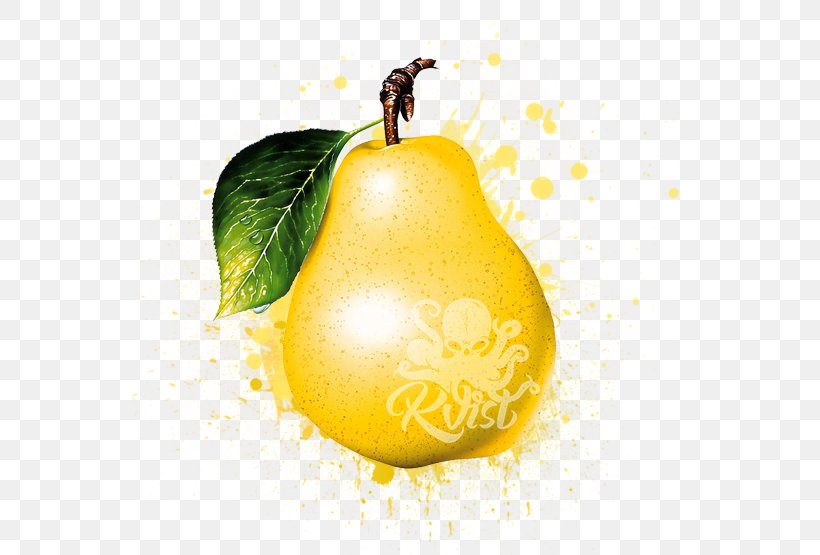 Rakia Williams Pear Schnapps Fruit Moonshine, PNG, 555x555px, Rakia, Asian Pear, Citron, Citrus, Flavor Download Free