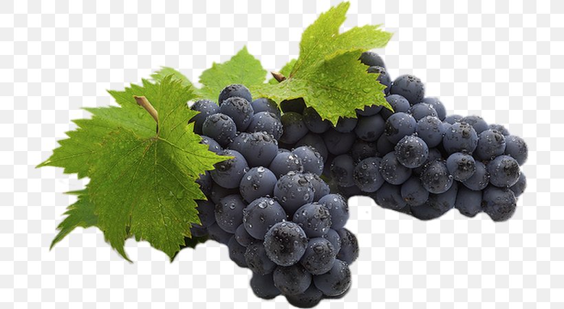 Sultana Isabella Wine Kyoho Cabernet Sauvignon, PNG, 720x450px, Sultana, Berry, Bilberry, Blackberry, Blueberry Download Free