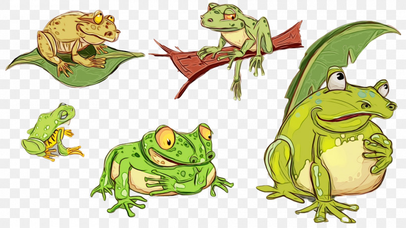Toad True Frog Reptiles Tree Frog Frogs, PNG, 1920x1078px, Watercolor, Amphibians, Animal Figurine, Biology, Character Download Free