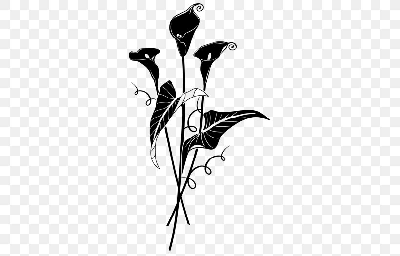 Twig Desktop Wallpaper Plant Stem, PNG, 700x525px, Twig, Art, Bird, Black, Black And White Download Free