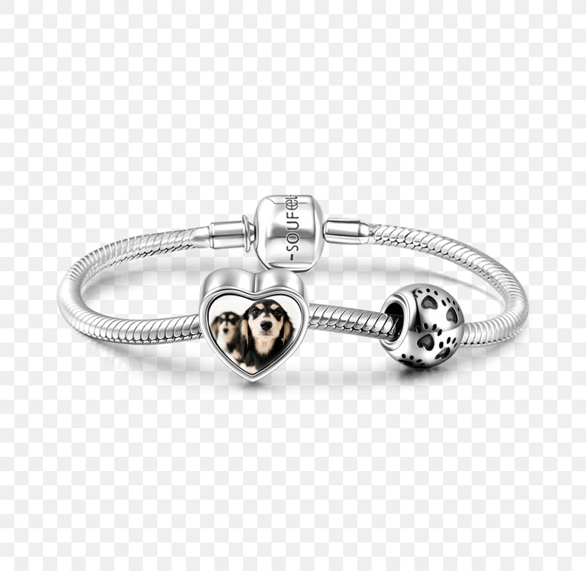 Charm Bracelet Bangle Jewellery Silver, PNG, 800x800px, Bracelet, Animal, Attention, Bangle, Body Jewellery Download Free