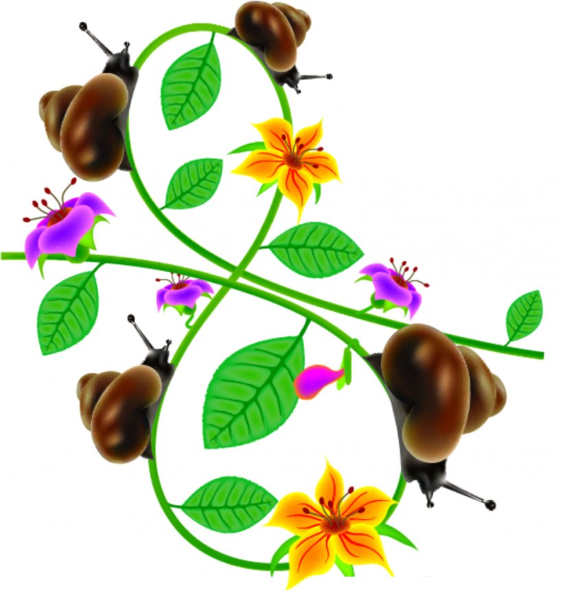 Clip Art, PNG, 975x1024px, 8 March, Gratis, Branch, Flora, Flower Download Free