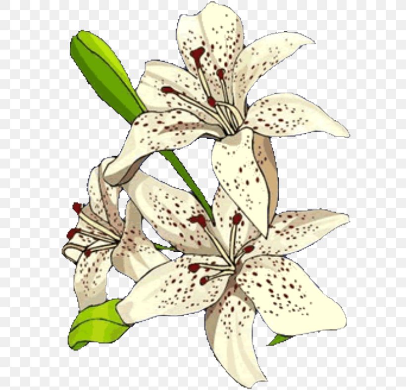 Floral Design Plant Stem Lily M, PNG, 600x787px, Floral Design, Flora, Floristry, Flower, Flowering Plant Download Free