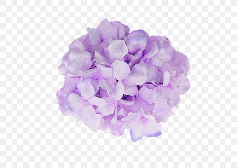 French Hydrangea Flower Purple Baby Shower, PNG, 580x580px, French Hydrangea, Blue Rose, Color, Cornales, Cut Flowers Download Free