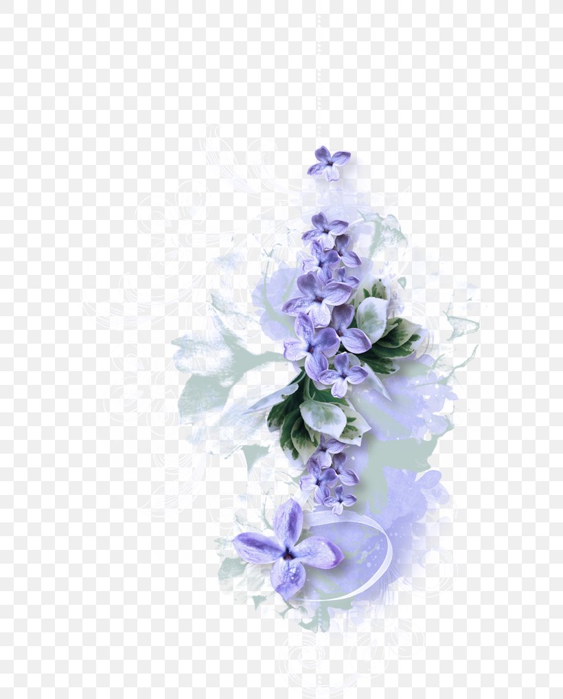 Lavender, PNG, 700x1017px, Violet, Bellflower Family, Delphinium, Flower, Flowering Plant Download Free