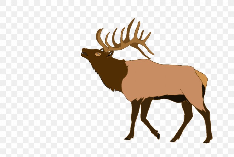 Elk Deer Clip Art, PNG, 1787x1200px, Elk, Antler, Blog, Cattle Like Mammal, Deer Download Free