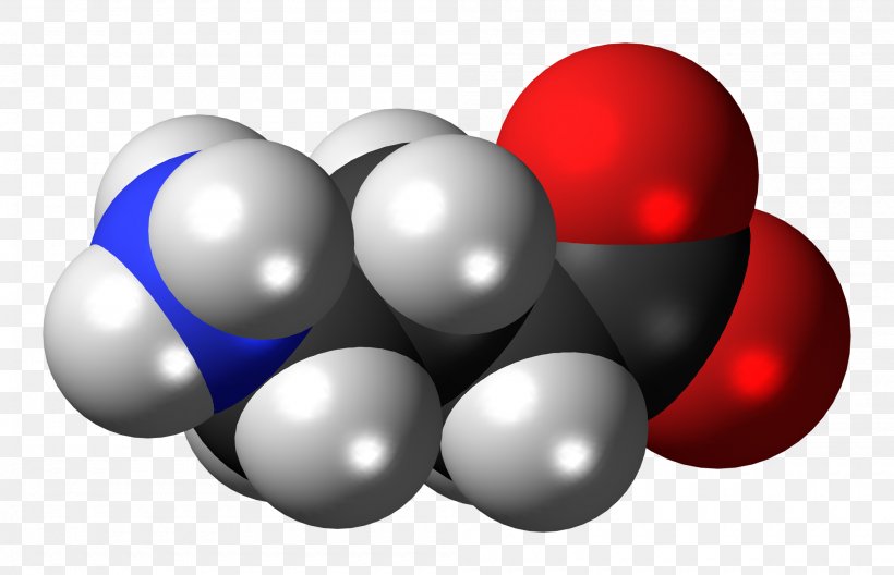 Gamma-Aminobutyric Acid Space-filling Model Neurotransmitter Molecule Molecular Model, PNG, 2000x1290px, Gammaaminobutyric Acid, Acid, Alphalinolenic Acid, Ballandstick Model, Chemistry Download Free