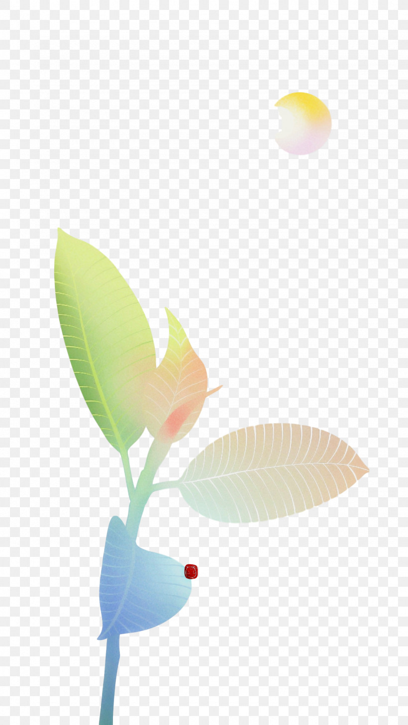 Leaf Petal Flower Computer M, PNG, 1535x2731px, Leaf, Biology, Computer, Flower, M Download Free