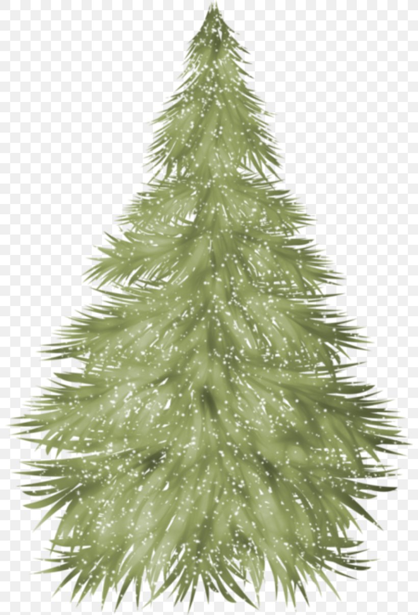 Spruce Christmas Tree Fir Christmas Ornament, PNG, 800x1206px, Spruce, Blog, Christmas, Christmas Decoration, Christmas Ornament Download Free