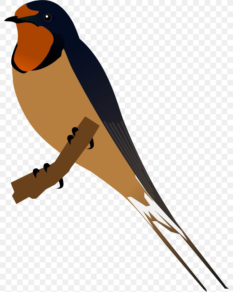 Swallow Bird Clip Art, PNG, 792x1024px, Swallow, American Cliff Swallow, Autocad Dxf, Barn Swallow, Beak Download Free