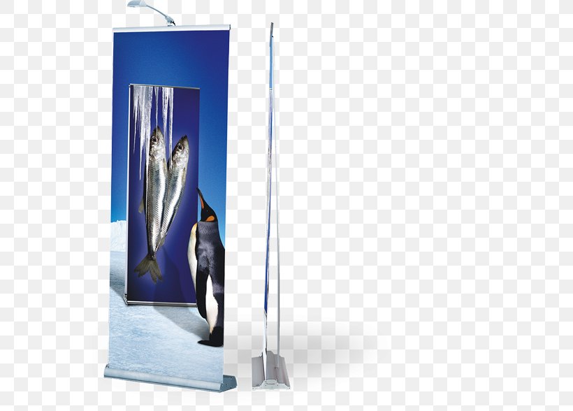 Advertising Banner Exhibition Poster, PNG, 555x588px, Advertising, Banner, Brochure, Exhibition, Logo Download Free