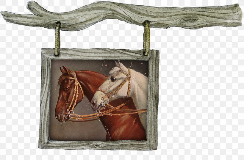 Horse Bridle Biology Science, PNG, 1920x1260px, Horse, Biology, Bridle, Science Download Free