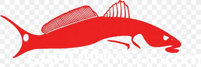 Red Drum Recreational Fishing Logo Clip Art, PNG, 1520x509px, Red Drum, Carnivoran, Decal, Dog Like Mammal, Fish Download Free