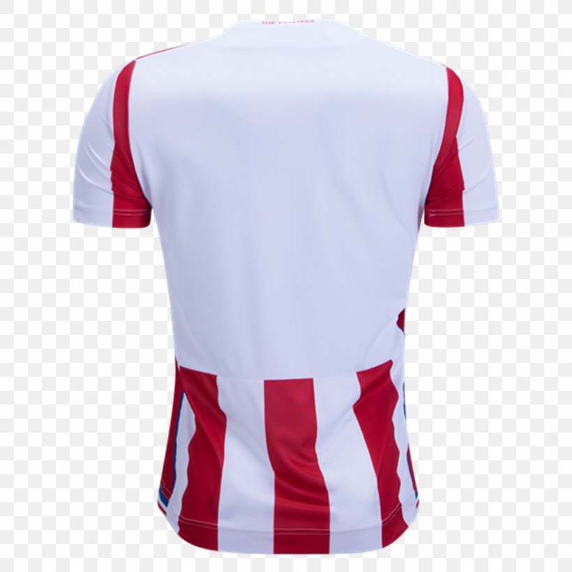 Stoke City F.C. Premier League World Cup Argentina National Football Team Aston Villa F.C., PNG, 1024x1024px, Stoke City Fc, Active Shirt, Argentina National Football Team, Aston Villa Fc, Clothing Download Free