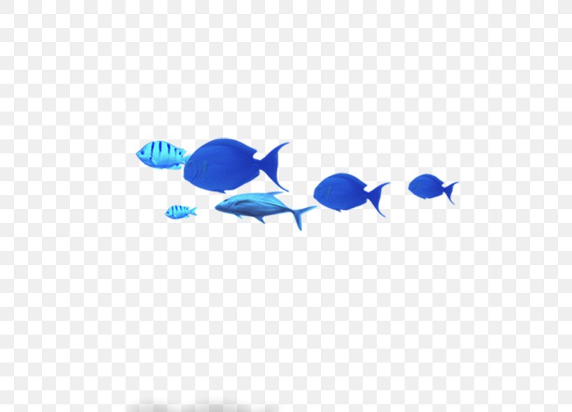 Blue Common Carp Fish, PNG, 591x591px, Blue, Aqua, Area, Azure, Cobalt Blue Download Free