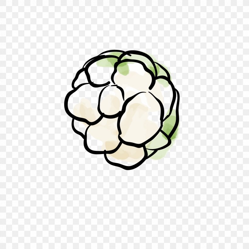 Cabbage Cauliflower Vegetable, PNG, 1667x1667px, Vegetable, Area, Ball, Cauliflower, Clip Art Download Free