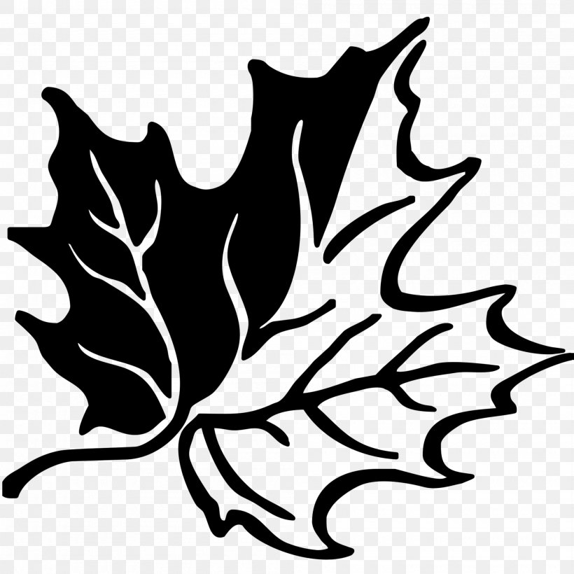 Canadian Gold Maple Leaf Template Canada, PNG, 2000x2000px, Leaf, Artwork, Black And White, Branch, Canada Download Free