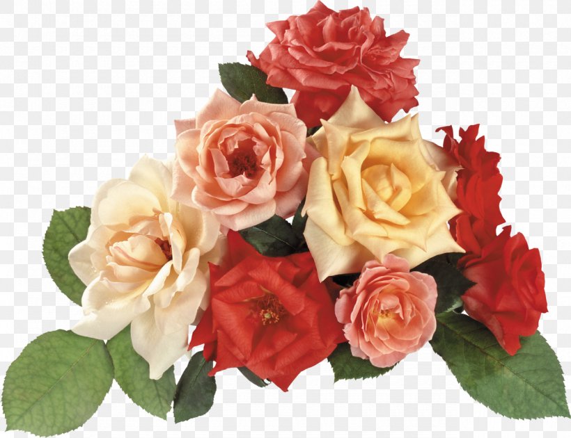 Desktop Wallpaper Garden Roses Flower Clip Art, PNG, 1280x984px, Garden Roses, Artificial Flower, Computer, Cut Flowers, Desktop Metaphor Download Free