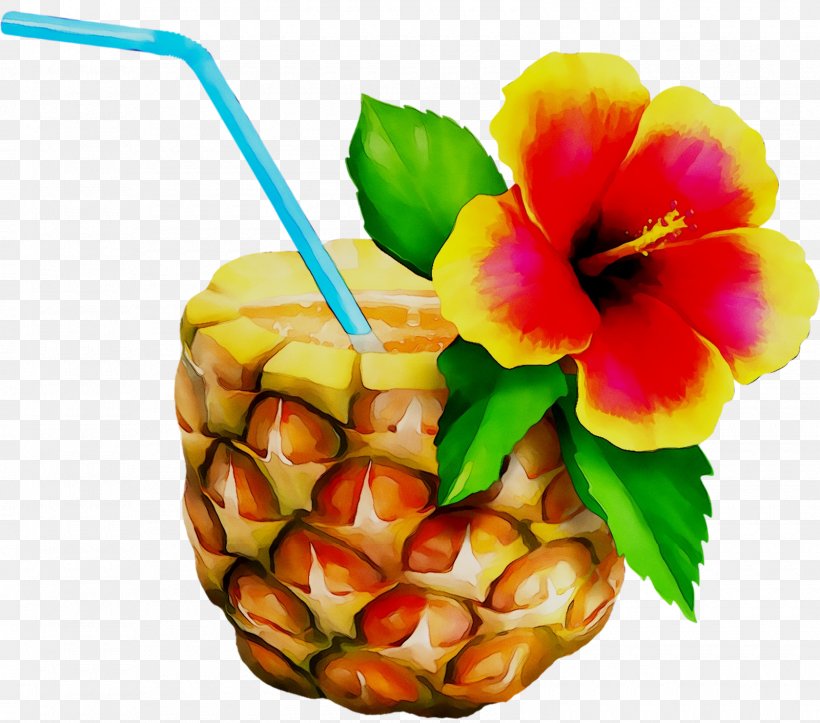 Garnish Fruit, PNG, 1600x1411px, Garnish, Ananas, Bromeliaceae, Cut Flowers, Flower Download Free