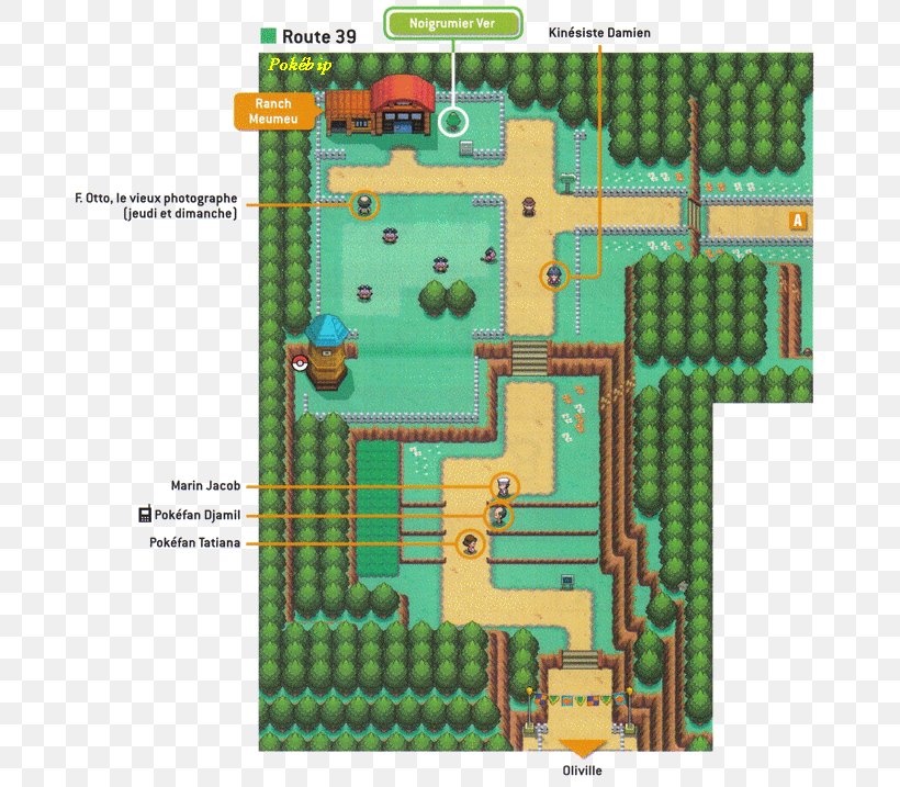 Pokémon HeartGold And SoulSilver Pokémon Gold And Silver Pokémon Crystal Pokémon X And Y, PNG, 700x717px, Pokemon Go, Area, Floor Plan, Games, Grass Download Free