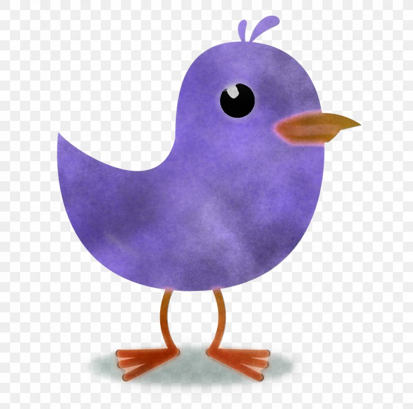Purple Bird Beak Violet, PNG, 1111x1101px, Purple, Beak, Bird, Violet Download Free