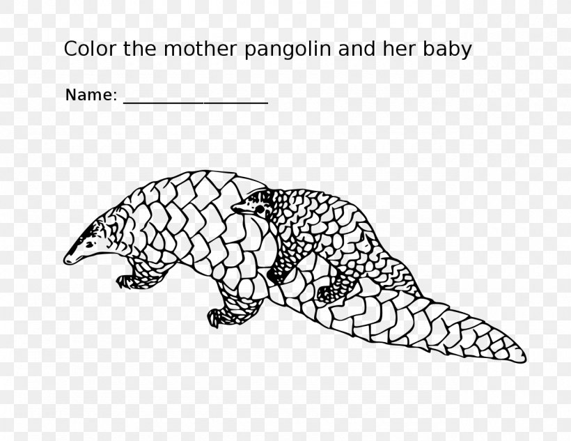 Featured image of post Mammal Coloring Pictures : Polish your personal project or design with these mammal transparent png images, make it even more personalized and more.