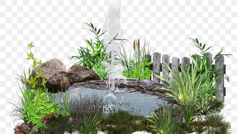 Pond Lawn Clip Art, PNG, 799x462px, Pond, Arecales, Garden, Grass, Grass Family Download Free