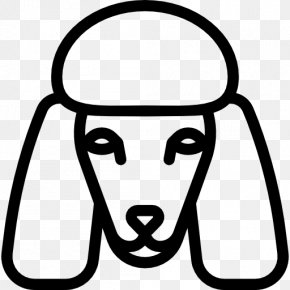 Poodle - Poodle Clip Art PNG