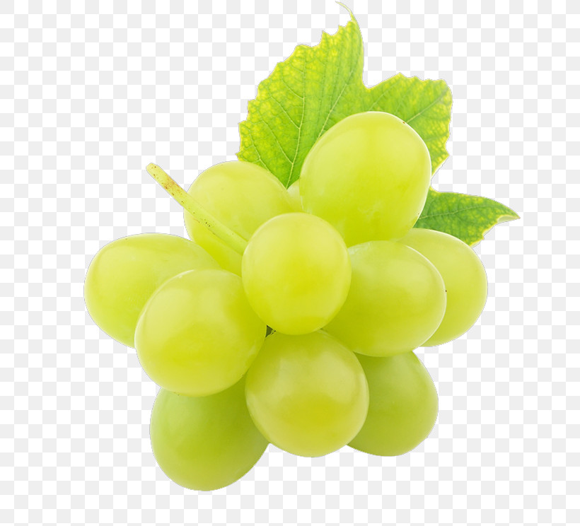 Grape Seedless Fruit Grapevine Family Green Fruit, PNG, 744x744px, Grape, Fruit, Grapevine Family, Green, Leaf Download Free