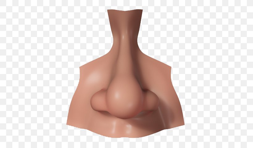 Human Nose 3D Computer Graphics CGTrader 3D Modeling, PNG, 640x480px, Watercolor, Cartoon, Flower, Frame, Heart Download Free
