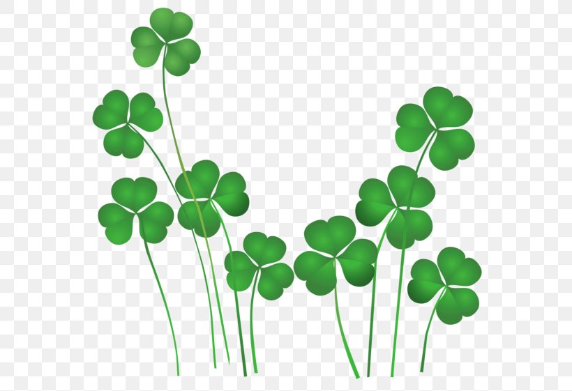 Ireland St. Patricks Day Shamrocks Saint Patricks Day National ShamrockFest Public Holiday, PNG, 600x561px, Ireland, Clover, Flowering Plant, Grass, Green Download Free