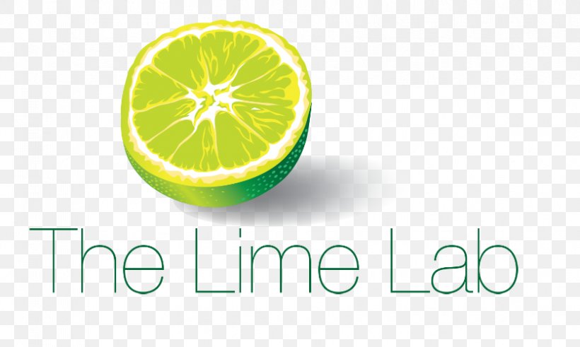 Key Lime Persian Lime Lemon Digital Marketing, PNG, 835x500px, Lime, Brand, Citric Acid, Citrus, Digital Marketing Download Free