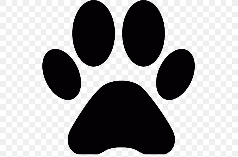 Cat Dog Paw Clip Art, PNG, 542x542px, Cat, Animal Track, Black, Black And White, Black Cat Download Free