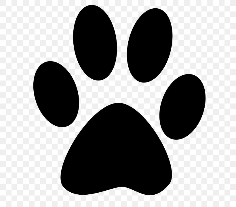 Cat Dog Paw Kitten Felidae, PNG, 720x720px, Cat, Animal, Animal Track, Black, Black And White Download Free