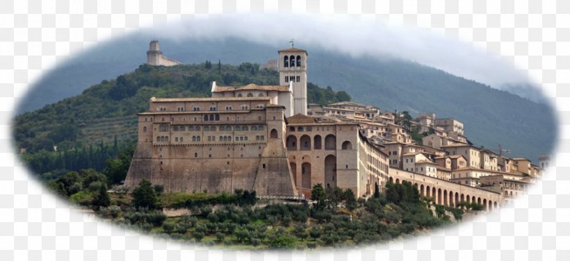 Città Di Castello Orvieto Monte Subasio Cortona Florence, PNG, 901x414px, Orvieto, Assisi, Basilica Of Saint Francis Of Assisi, Building, Castle Download Free
