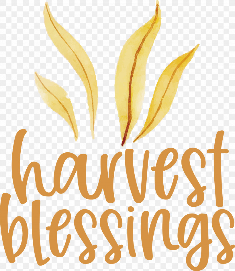HARVEST BLESSINGS Harvest Thanksgiving, PNG, 2594x3000px, Harvest Blessings, Autumn, Biology, Commodity, Flower Download Free