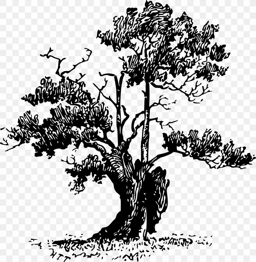 Nooks And Corners Of Shropshire Clip Art, PNG, 2339x2400px, Nooks And Corners Of Shropshire, Art, Black And White, Branch, Flora Download Free